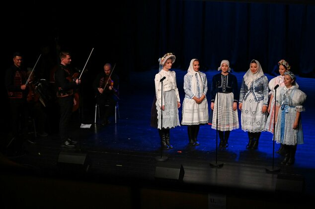 Spievame si po našom – 44. trenčianske folklórne slávnosti - DSC_0313