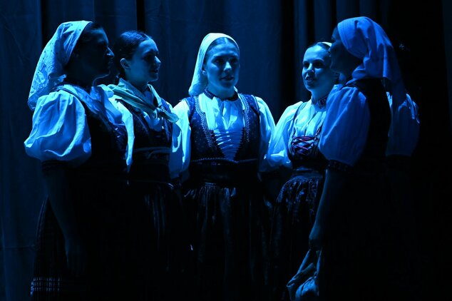 Spievame si po našom – 44. trenčianske folklórne slávnosti - DSC_9894