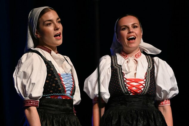 Spievame si po našom – 44. trenčianske folklórne slávnosti - DSC_9928