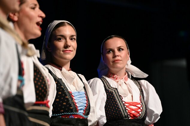 Spievame si po našom – 44. trenčianske folklórne slávnosti - DSC_9950