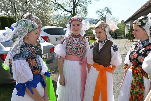 Synovia podjavorinského kraja - DSC_7886