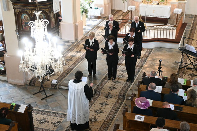 Synovia podjavorinského kraja - DSC_7960