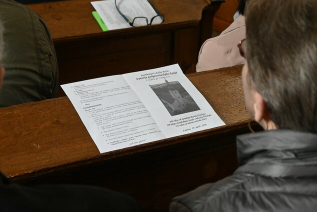 Synovia podjavorinského kraja - DSC_7980