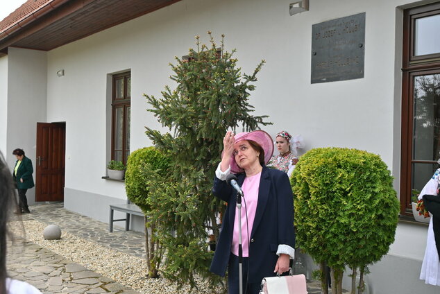 Synovia podjavorinského kraja - DSC_8039