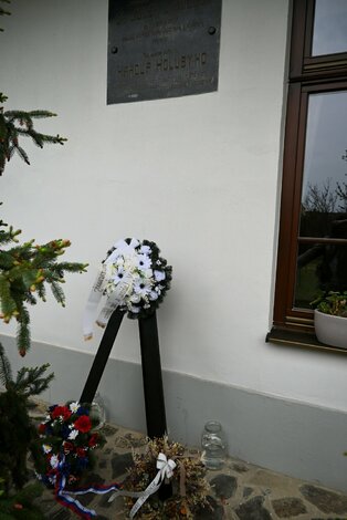 Synovia podjavorinského kraja - DSC_8076