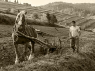 Jana Pagáčová - fotografia mesiaca