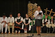 Xxxvi. trenčianske folklórne slávnosti - DSC_1966