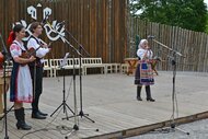 Xxxvi. trenčianske folklórne slávnosti - DSC_2550