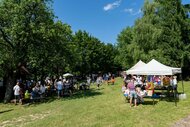 42. trenčianske folklórne slávnosti • sobota - 12
