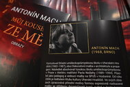 Antonín mach: můj kousek ze mě - DSC_3348