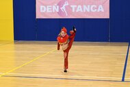 Deň tanca trenčianskeho kraja 2026 - DSC_6631