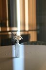Flores musarum 2026 - 2