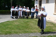 Rozpomienky zemianskopodhradské - DSC_8590