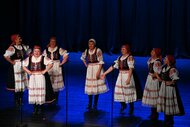 Spievame si po našom – 44. trenčianske folklórne slávnosti - DSC_0119