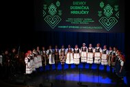 Spievame si po našom – 44. trenčianske folklórne slávnosti - DSC_0548