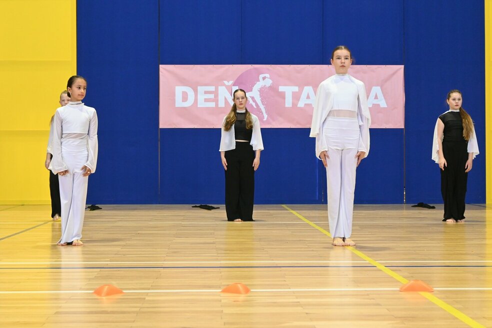 Deň tanca trenčianskeho kraja 2026 - DSC_6281