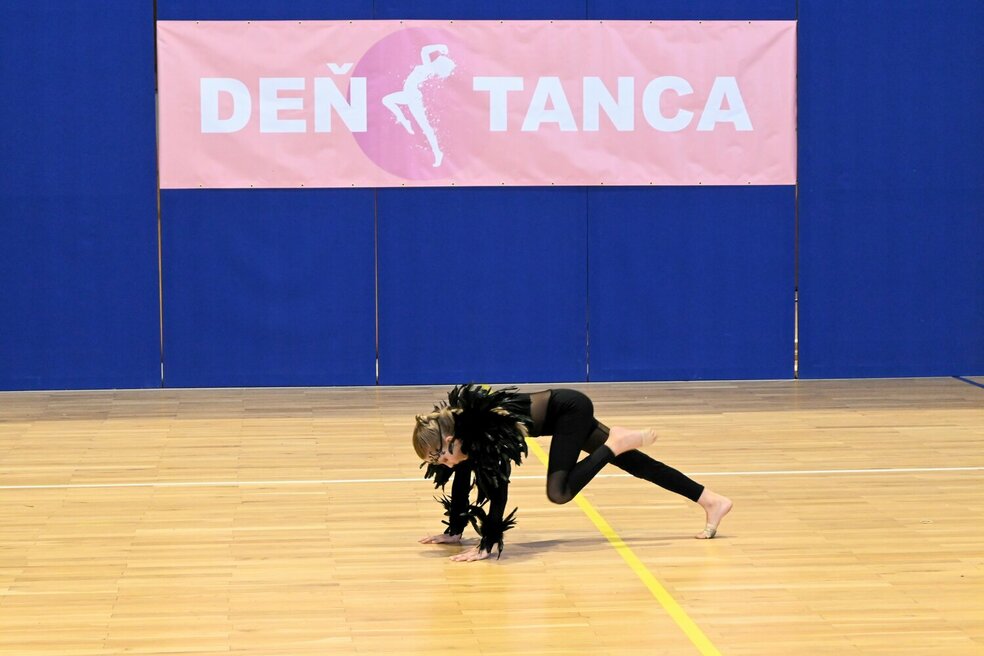 Deň tanca trenčianskeho kraja 2026 - DSC_6479