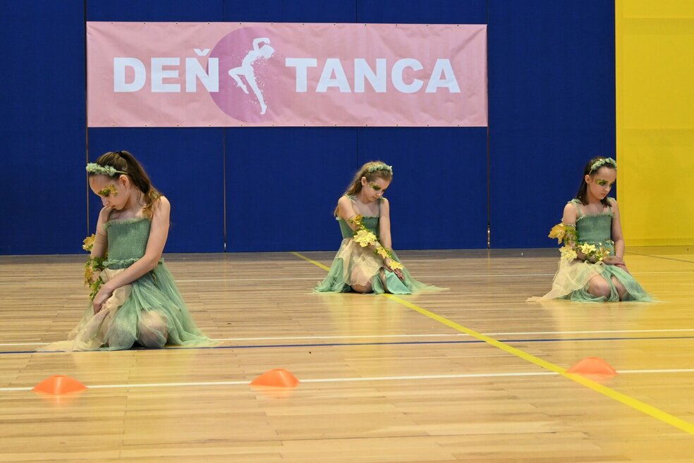 Deň tanca trenčianskeho kraja 2026 - DSC_6528